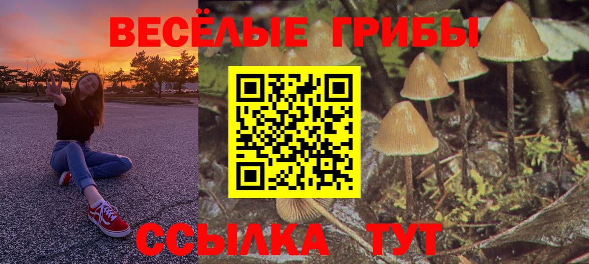 Галлюциногенные грибы Cubensis  Вход с VPN  Бийск 