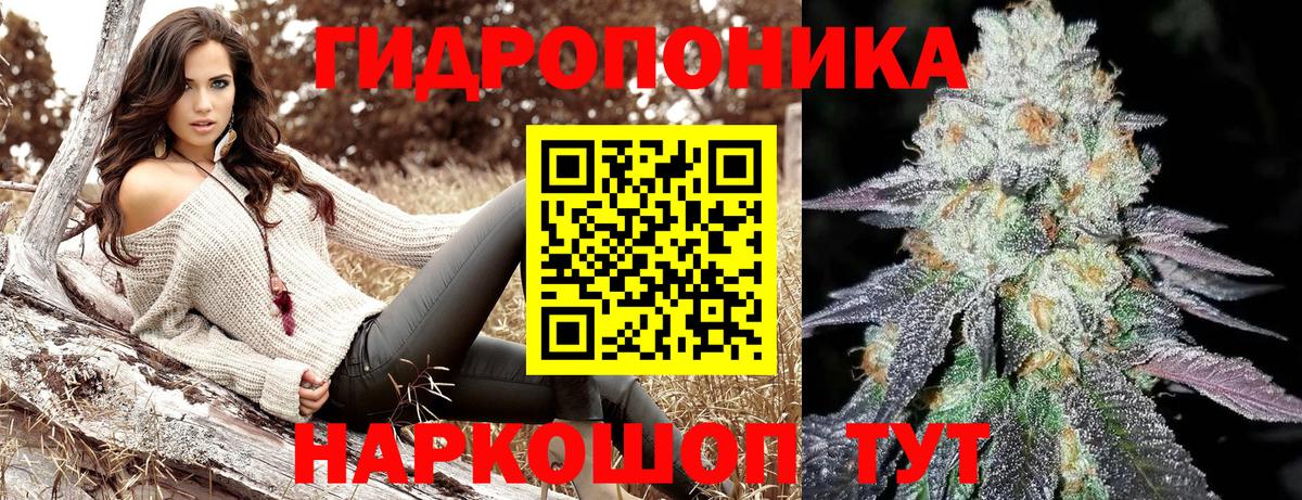 Каннабис OG Kush Бийск